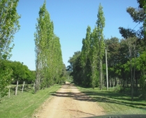 Enlarge photo